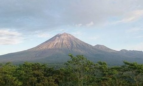 Potret Gunung Semeru Letuskan Kolom Abu Setinggi 700 Meter, Radius Aman 13 km dari Puncak