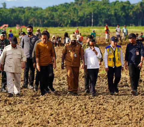 Djarot PDIP: Food Estate Perlu Dievaluasi, di NTT Gagal