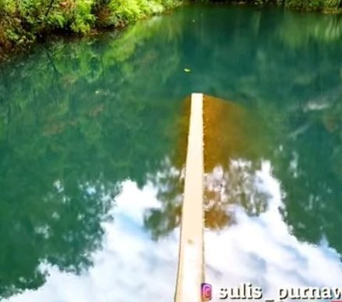 Mengunjungi Danau Banaran di Kendal, Tawarkan Sensasi Berjalan di Atas Air