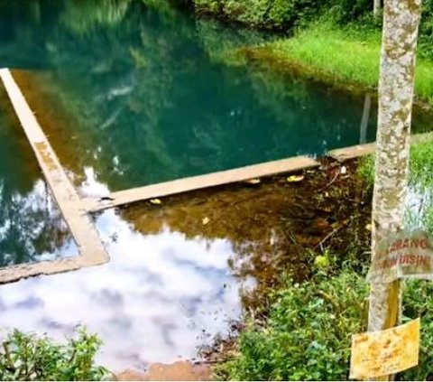 Mengunjungi Danau Banaran di Kendal, Tawarkan Sensasi Berjalan di Atas Air