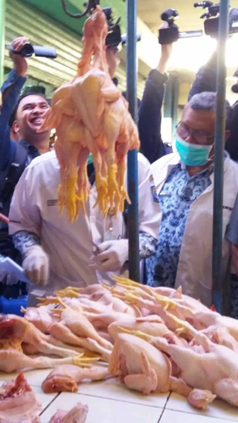 CEK FAKTA: Tidak Benar Sayap dan Leher Ayam Broiler Disuntik Hormon Penyebab Kanker