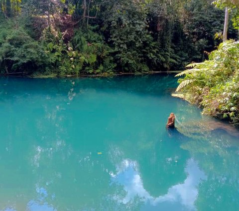 Mengunjungi Danau Biru, Permata Tersembunyi di Balik Pesona Pulau Lombok