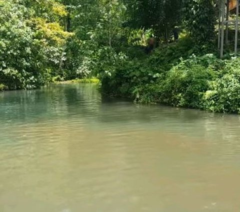 Mengunjungi Danau Biru, Permata Tersembunyi di Balik Pesona Pulau Lombok