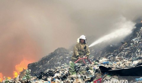 Pemilik kandang sapi, Ronjimun mengatakan kebakaran itu terjadi sekitar pukul 13.00 WIB. Kendati demikian, ia tak mengetahui awal mula api itu muncul.<br>