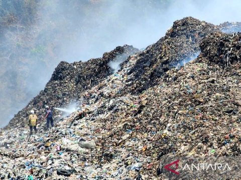 TPA Jatibarang Semarang Kembali Terbakar, Tiga Anakan Sapi Pedet Mati Terpanggang