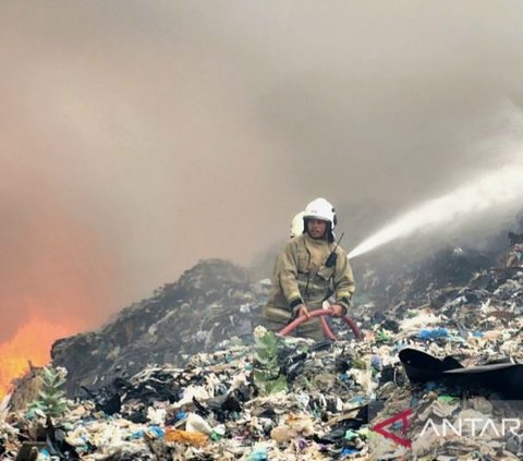 TPA Jatibarang Semarang Kembali Terbakar, Tiga Anakan Sapi Pedet Mati Terpanggang