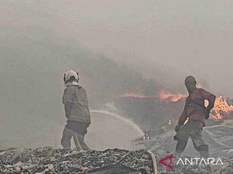 TPA Jatibarang Semarang Kembali Terbakar, Tiga Anakan Sapi Pedet Mati Terpanggang