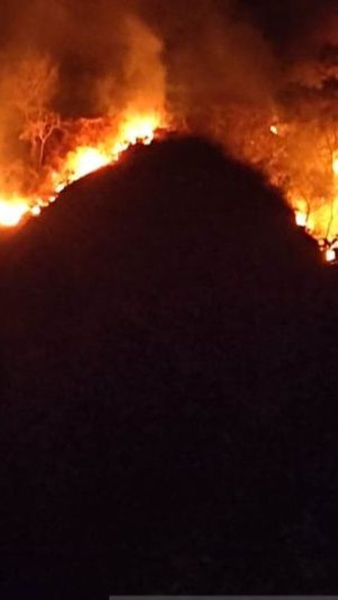 Gunung Jayanti Terbakar, Kobaran Api Mengarah ke Gedung BMKG Pelabuhan Ratu