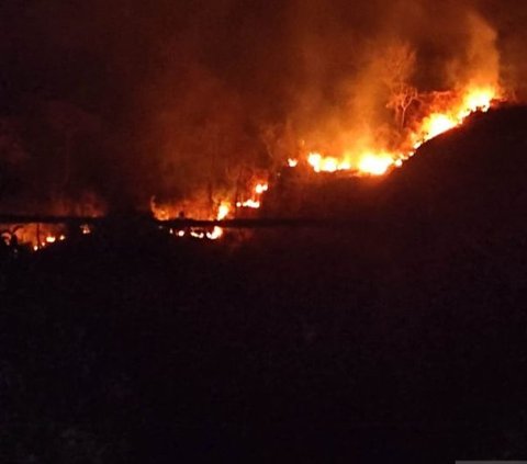 Gunung Jayanti Terbakar, Kobaran Api Mengarah ke Gedung BMKG Pelabuhan Ratu
