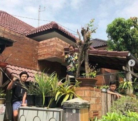 Jarang Tersorot, Ini Deretan Potret Rumah Milik Soimah di Yogyakarta yang Asri Banget