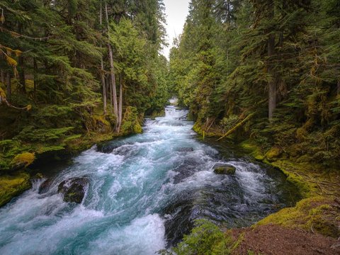 The Meaning of Dreaming of Falling into a River Turns Out to Be a Sign of Happiness to Come