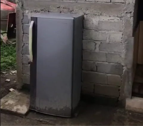 Unconventional Toilet Appearance with Refrigerator Door