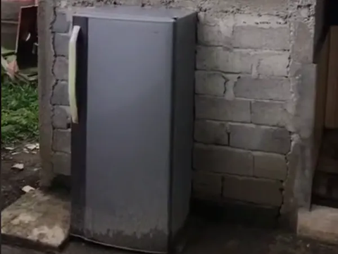 Unconventional Toilet Appearance with Refrigerator Door