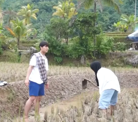 Being the Ambassador of Millennial Farmers, Take a Look at the Old Video of Lesti Kejora and Rizky Billar Ploughing in the Rice Field