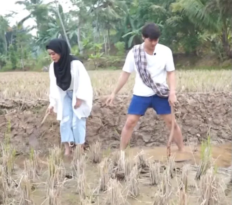 Being the Ambassador of Millennial Farmers, Take a Look at the Old Video of Lesti Kejora and Rizky Billar Ploughing in the Rice Field