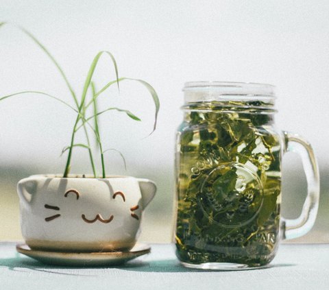 Tired After Work? Refresh Yourself with Peppermint Tea Bath