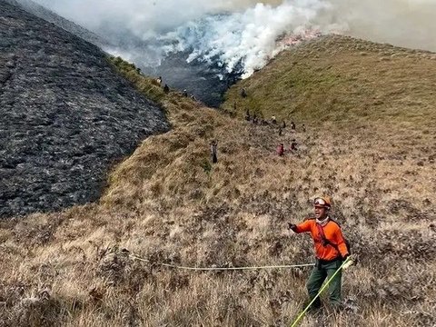 Potential Losses Due to Fire in Bromo Tourism Area Reach Almost Rp90 Billion