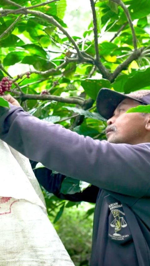 Mengenal Desa BRILIan Trawas: Giat Pelaku UMKM Terus Tumbuh Berikat Inovasi dan Kreativitas Warga