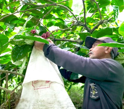 Mengenal Desa BRILIan Trawas: Giat Pelaku UMKM Terus Tumbuh Berikat Inovasi dan Kreativitas Warga