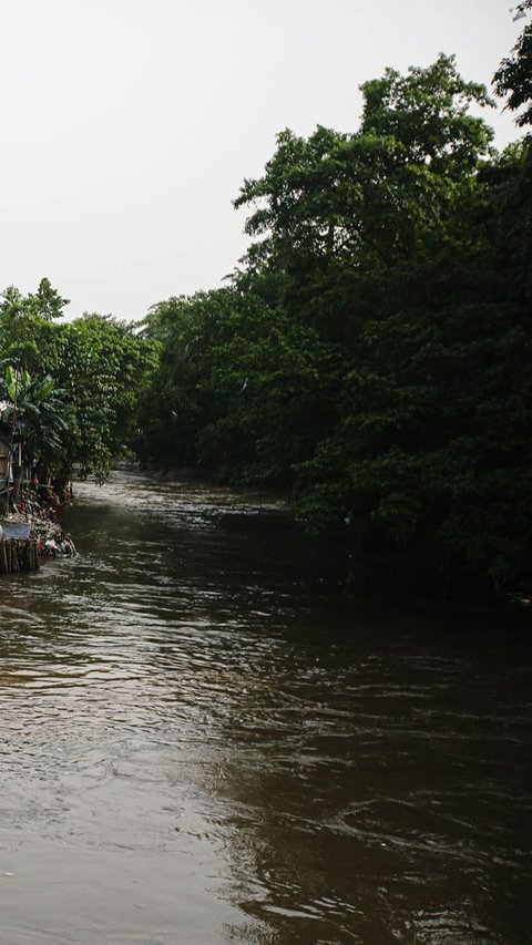 KLHK Serah Terima Hasil Rehabilitasi Daerah Aliran Sungai Seluas 27 Hektar di Bangka Tengah<br>