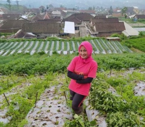 Portrait of Novi Listiana's 'Hot' Singer's House who chose to migrate, now switching gears to become a farmer!