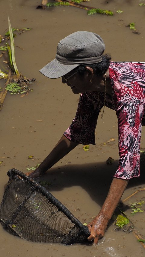 <b>Tradisi Nirok Nanggok, Cara Masyarakat Belitung Mencari Ikan di Sungai Ketika Musim Kemarau Tiba</b>