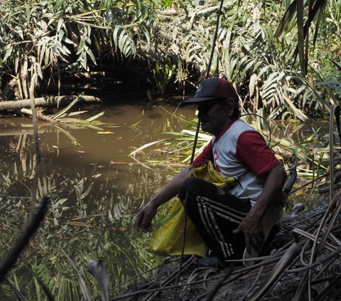 Tradisi Nirok Nanggok, Cara Masyarakat Belitung Mencari Ikan di Sungai Ketika Musim Kemarau Tiba