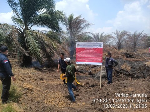 6 Lokasi Karhutla di Sumsel Disegel, 5 di Antaranya Milik Perusahaan