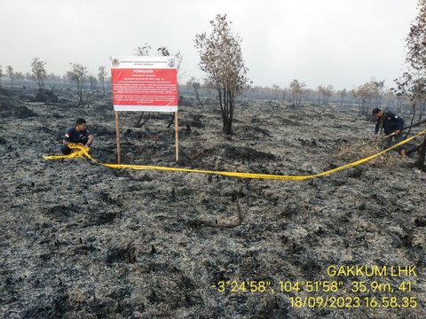 6 Lokasi Karhutla di Sumsel Disegel, 5 di Antaranya Milik Perusahaan