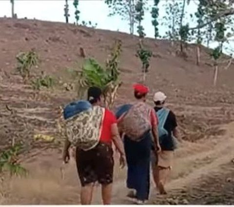 Krisis Air Makin Parah, Begini Perjuangan Warga di Grobogan Berburu Air hingga ke Tengah Hutan