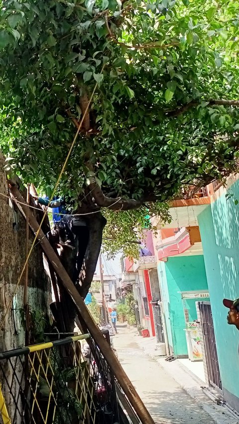 Kesaksian Warga Duren Sawit, Ada Tembok 10 Meter Bekas Pabrik Roboh Timpa Rumah & Motor<br>