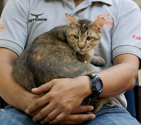 Suku Dinas Ketahanan Pangan, Kelautan, dan Perikanan (Sudin KPKP) Kota Administrasi Jakarta Selatan menggelar vaksinasi rabies gratis di Taman Perdapa, Tebet, Jakarta Selatan, Selasa (26/9/2023).<br>