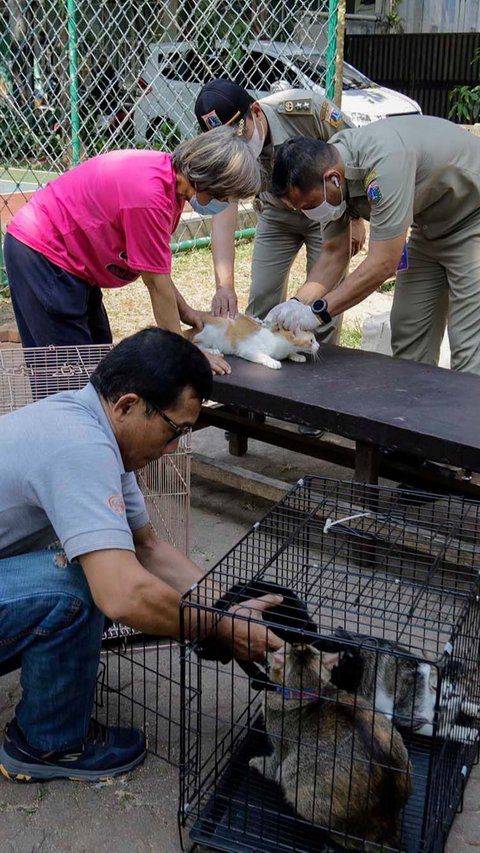 Vaksinasi rabies gratis ini disambut antusias oleh warga sekitar.