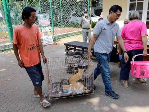 FOTO: Antusiasme Pemilik Hewan Serbu Vaksinasi Rabies Gratis di Tebet