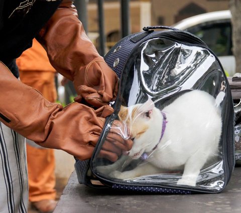 FOTO: Antusiasme Pemilik Hewan Serbu Vaksinasi Rabies Gratis di Tebet