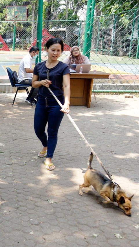 FOTO: Antusiasme Pemilik Hewan Serbu Vaksinasi Rabies Gratis di Tebet