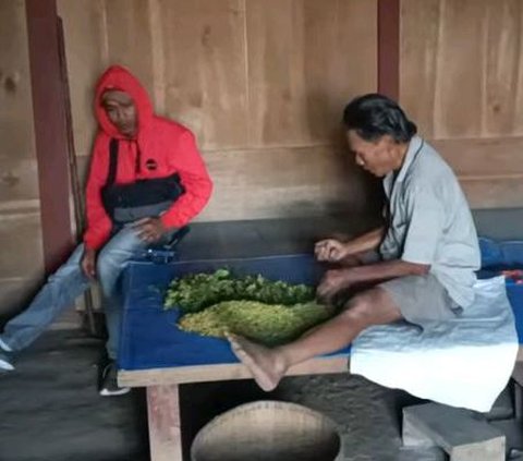 Suasana Kehidupan Kampung di Pedalaman Hutan Jati Grobogan, Hidup Tanpa Listrik