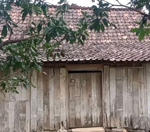 Suasana Kehidupan Kampung di Pedalaman Hutan Jati Grobogan, Hidup Tanpa Listrik