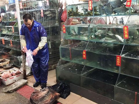 Viral! Man Buys Live Fish Worth Rp4.5 Million in Supermarket, Then Releases Them in the River: Suspected to be Performing a Ritual