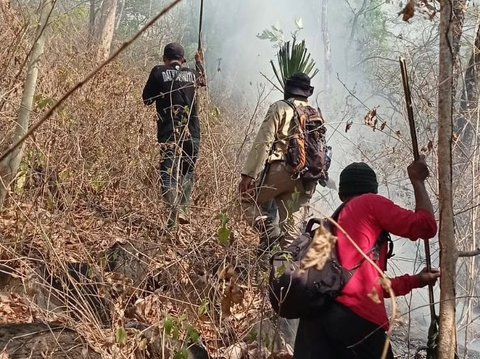Kondisi Terkini Kebakaran Hutan Taman Nasional Baluran, Tutup untuk Wisatawan hingga Akhir September