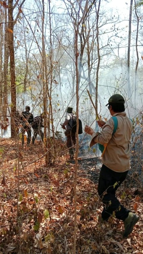 Penanganan kebakaran hutan dilakukan oleh Polres Situbondo bersama Masyarakat Peduli Api TN Baluran