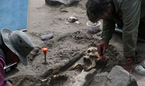200 Kerangka Manusia dari Abad Keenam Ditemukan di Pantai, Identitasnya Terungkap