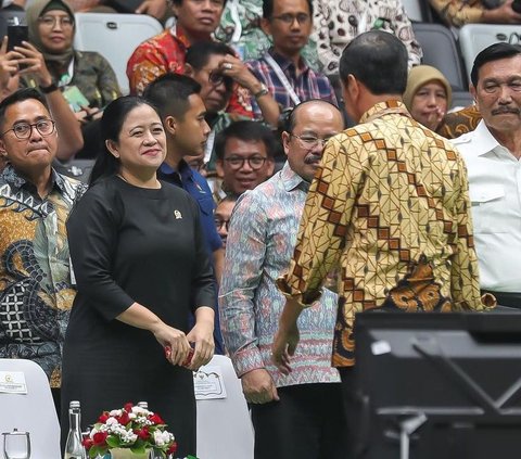 Luhut Bocorkan Isi Pertemuannya dengan Puan Maharani