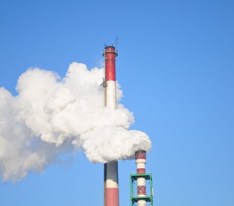Pengertian Bursa Karbon, Lengkap Beserta Proses dan Fungsinya