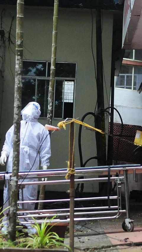 Heboh Virus Nipah, Kemenkes Petakan Wilayah Banyak Kelelawar<br>