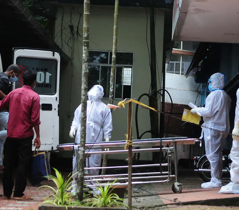 Heboh Virus Nipah, Kemenkes Petakan Wilayah Banyak Kelelawar