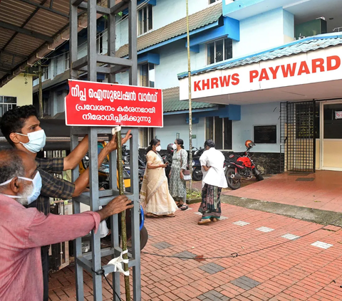 Heboh Virus Nipah, Kemenkes Petakan Wilayah Banyak Kelelawar