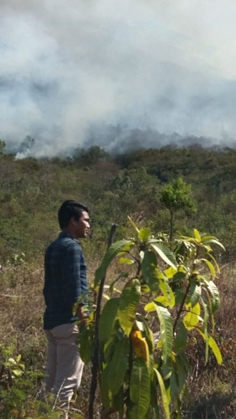 Luas Kebakaran di Gunung Agung Mencapai 30 Hektare, Ini Penampakannya<br>