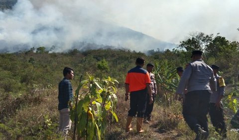 Sampai siang ini, luas lahan yang terbakar di lereng Gunung Agung sekitar 30 hektare lebih. Penyebabnya apa, masih didalami.<br>