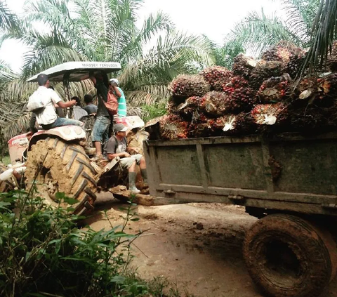 PGN: Produksi Biometana akan Dimulai di Sumatera Bagian Selatan Pada 2025